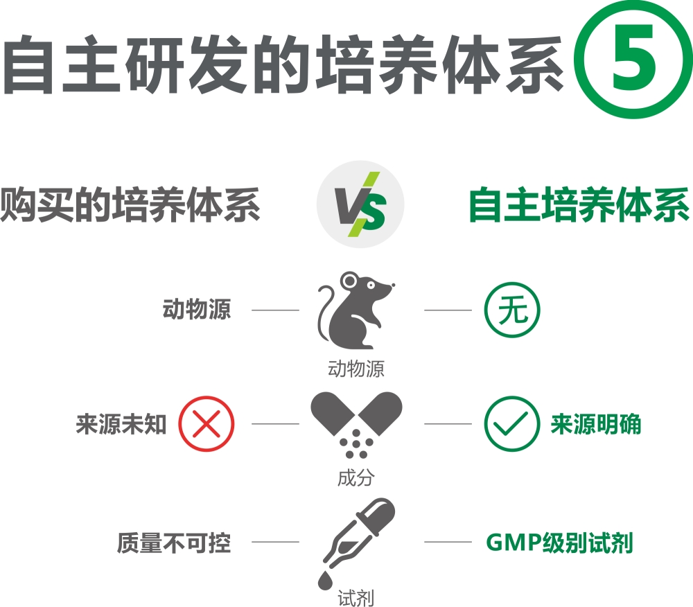 上风5